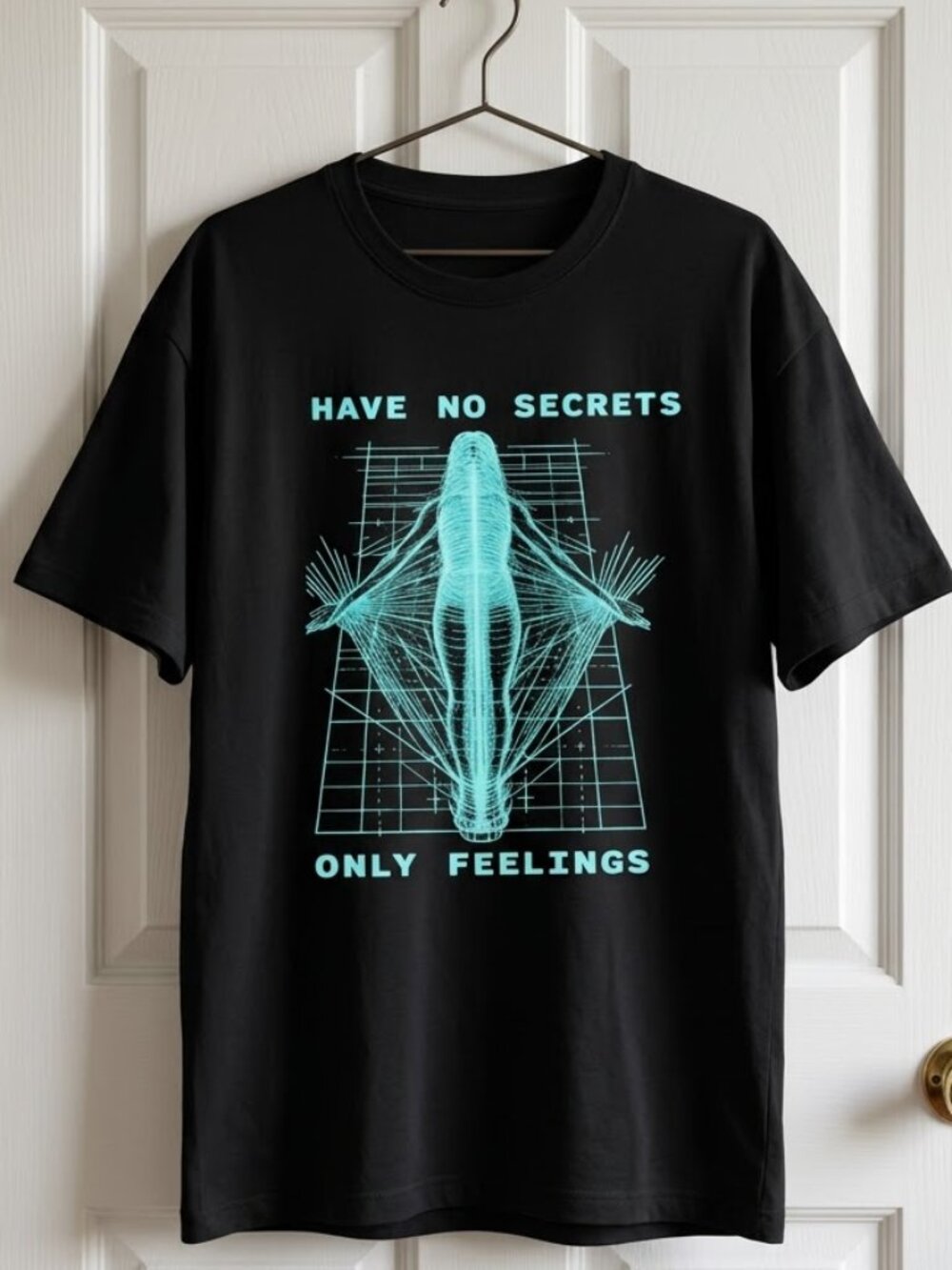 Phoebe Bridgers I Have No Secrets Only Feelings 2026 The Lost Tour T-Shirt